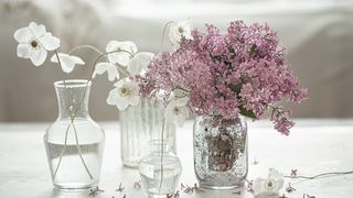 Criterii pentru alegerea vazelor ideale pentru diferite varietăți florale