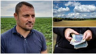 EXCLUSIV- Fermierii sunt nemulțumiți de limitarea plăților cash. Noua măsura ar bloca piața terenurilor agricole: ”Vor să fraierească oamenii de la țară”