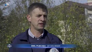 VIDEO - Aproape 1.000 de urși ar putea fi uciși în următorii 2 ani. Ce propune noul proiect
