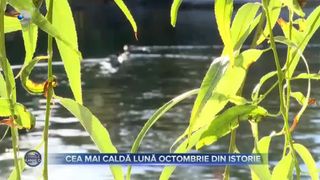 VIDEO - Vreme extremă, &icirc;ngrijorările climatologilor. Luna octombrie a anului 2023, cea mai caldă din istorie