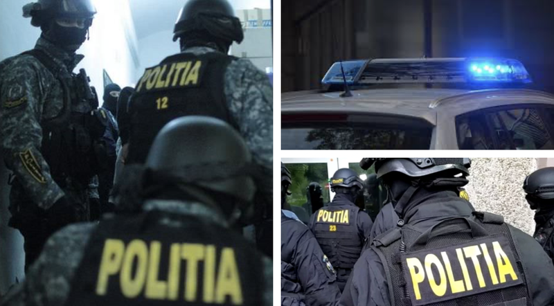 Percheziții Harghita: Anchetatorii au descoperit mai multe culturi de cannabis, crescute în solarii