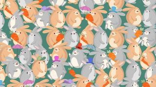 Poți găsi șoarecele &icirc;n 15 secunde? Start!