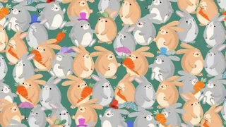 Iluzia optică prin care îți testezi IQ-ul. Poți găsi șoarecele ascuns în 15 secunde?