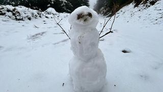 Voineasa, V&acirc;lcea