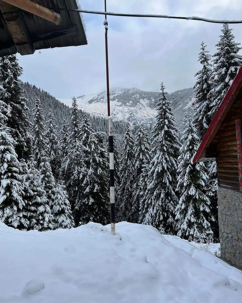 Trei județe din România sunt sub cod portocaliu de ninsori și vânt puternic. Meteorologii au anunțat rafale de peste 120 km/h