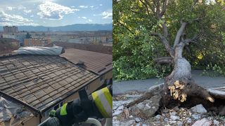 FOTO/VIDEO - Ninsorile și vântul puternic au pus în dificultate șoferii. În Harghita, doi arbori s-au prăbușit, iar câteva persoane au fost rănite