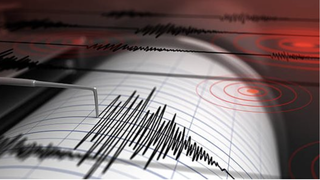 Cutremur &icirc;n Rom&acirc;nia. Seismul cu magnitudinea de 3, 2 s-a resimțit &icirc;n mai multe orașe din țară