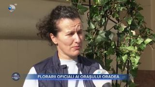 VIDEO - Florarii oficiali ai orașului Oradea. Andreea și Ionuț se ocupă de &icirc;mpodobirea cu flori a clădirilor de epocă