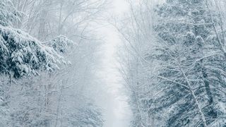 vremea se va răci treptat în următoarele două săptămâni