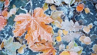 Zonele din Rom&acirc;nia unde va ninge &icirc;n această săptăm&acirc;nă! Prognoza meteo completă!