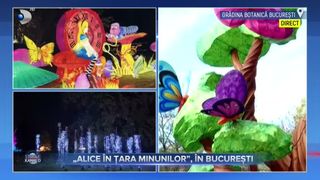 VIDEO - „Alice în Țara Minunilor” a ajuns în București. Grădina Botanică găzduiește o expoziție spectaculoasă de lumini