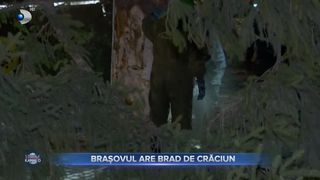 VIDEO - Brașovul se pregătește pentru sărbătorile de iarnă. Bradul de Crăciun are peste 70 de ani și e mai înalt decât un bloc cu 6 etaje