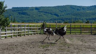 S&acirc;mbătă, de la ora 15:00, &icirc;n &rdquo;ROventura&rdquo;, Ținutul Neamțului, o lume de poveste
