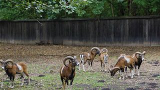 S&acirc;mbătă, de la ora 15:00, &icirc;n &rdquo;ROventura&rdquo;, Ținutul Neamțului, o lume de poveste