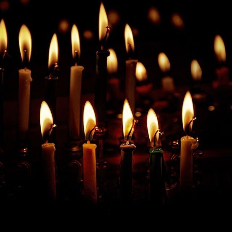 Intrarea în Biserică a Maicii Domnului 2023