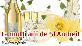 Mesaje de Sf. Andrei 2023