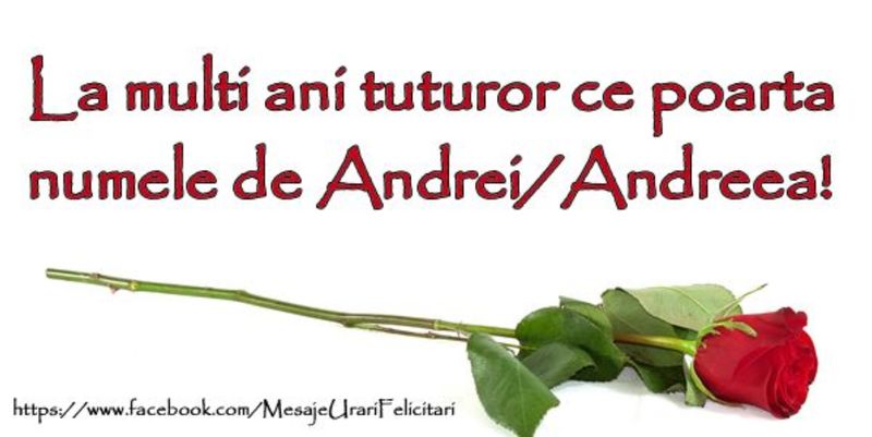 Mesaje de Sf. Andrei 2023