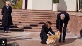 Codruț, c&acirc;inele Maiei Sandu, l-a mușcat pe președintele unei țări, aflat &icirc;n vizită &icirc;n Moldova