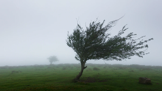 &Icirc;n urma v&acirc;ntului puternic, Reactorul 1 al Centralei Nucleare Cernavodă a fost decuplat