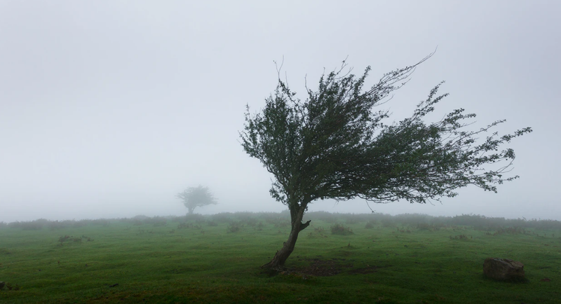 În urma vântului puternic, Reactorul 1 al Centralei Nucleare Cernavodă a fost decuplat