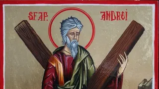 Sf&icirc;ntul Andrei 2023. C&acirc;nd se pune și c&acirc;t timp se păstrează gr&acirc;ul &icirc;ncolțit