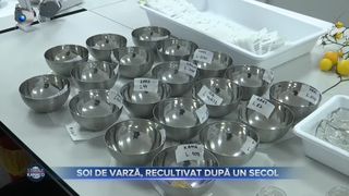 VIDEO- Soi de varză, recultivat după un secol. Descoperirea cercetătorilor a fost premiată la Salonul Național de Inventică și Cercetare