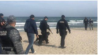 Un pachet cu ”praf alb” a fost descoperit pe o plajă din Constanța. Acesta pare că face parte din operațiunea ”Grimm Brothers”