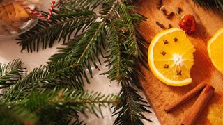 Calendar ortodox decembrie 2023