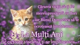 mesaje si urari cu la multi ani de ziua de nastere