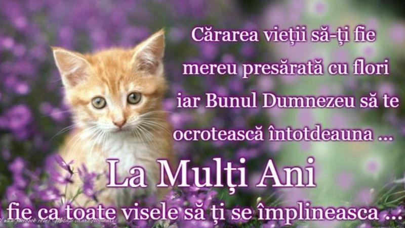 mesaje si urari cu la multi ani de ziua de nastere