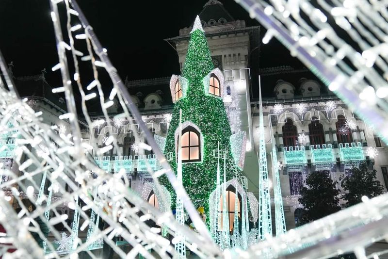Cel mai frumos brad de Crăciun din Europa e la Craiova