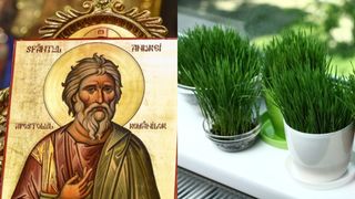 cand se pune graul la incoltit de sf. andrei 2023