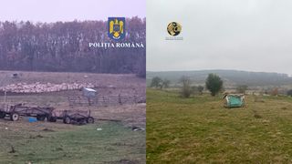 FOTO/VIDEO - Minor de 13 ani din județul Brașov, exploatat prin muncă la st&acirc;nele unui bărbat. Părinții copilului erau plătiți pentru a-l lăsa să muncească