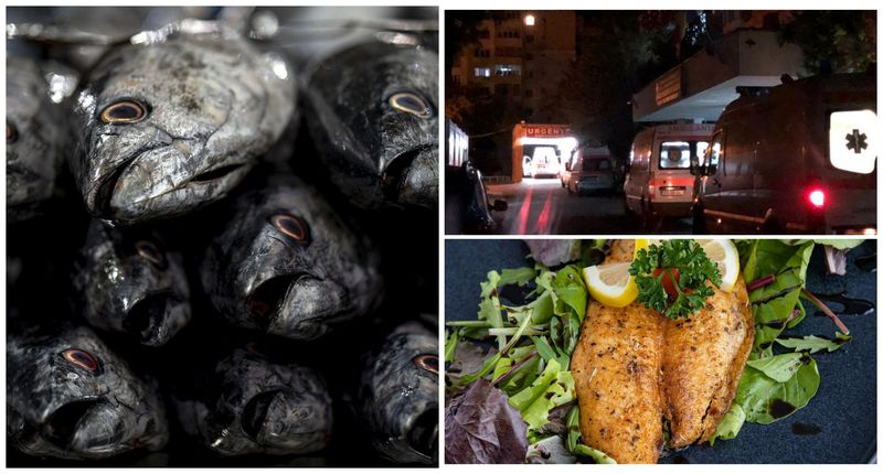 Pacienți morți Murgeni