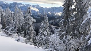 accident avion austria