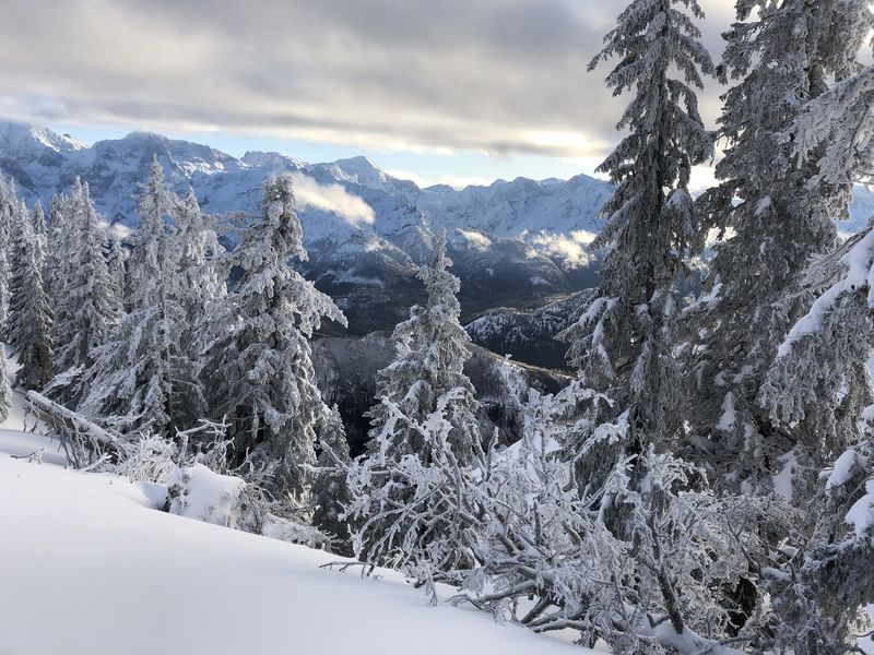 accident avion austria