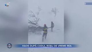 VIDEO - Atacuri de panică din cauza viscolului. Mai multe județe din țară au fost &icirc;nghețate de urgia albă