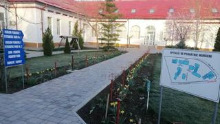 Cinci pacienți de la Spitalul de Psihiatrie Murgeni au fost externați de la Spitalul de Boli Infecțioase Iași
