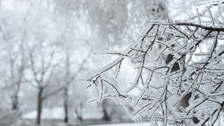 Cum va fi vremea de Crăciun? Meteorologii au emis prognoza meteo pentru următoarele săptăm&acirc;ni