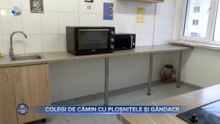 VIDEO- Colegi de cămin cu ploșnițele și g&acirc;ndacii. Studenții se tem să vorbească
