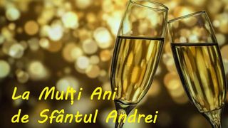 mesaj cu la multi ani de sfantul andrei
