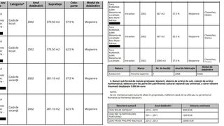 Avere Cătălin Cherecheș