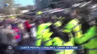 VIDEO- Luptă pentru consumul cărnii de c&acirc;ine, &icirc;n Coreea de Sud. Sute de fermieri au ieșit &icirc;n stradă