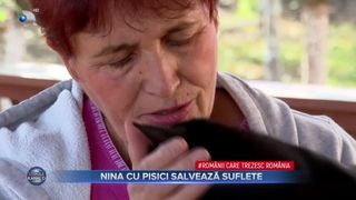 VIDEO - Nina cu pisici salvează suflete. Povestea eroinei necuvântătoarelor