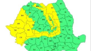 cod-galben-v&acirc;nt