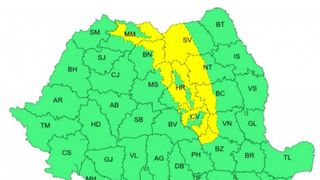 cod-galben-v&acirc;nt