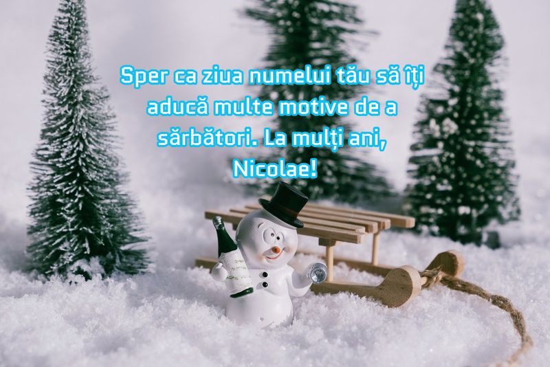 mesaj sf nicolae