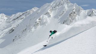 om care schiază pe partie