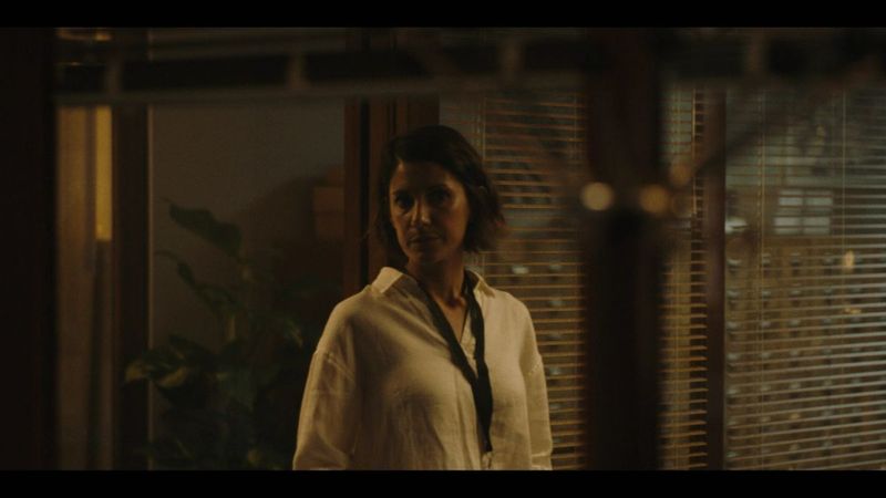 agentul hamilton serial