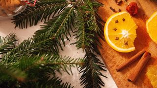 crengi de brad scortisoara portocala de sarbatoarea craciunului